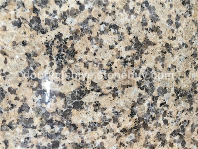 新卡麥, 菊花黃, 世紀(jì)金麻 , 桃花紅(G687), 金鉆麻, 井岡紅, 芝麻灰(G633)圖片, 新卡麥, 菊花黃, 世紀(jì)金麻 , 桃花紅(G687), 金鉆麻, 井岡紅, 芝麻灰(G633)產(chǎn)品圖片 - 德興市東泰石材